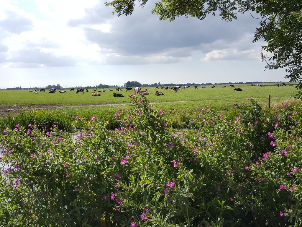 Bed & Breakfast De Koegang Zuidermeer Exterior photo
