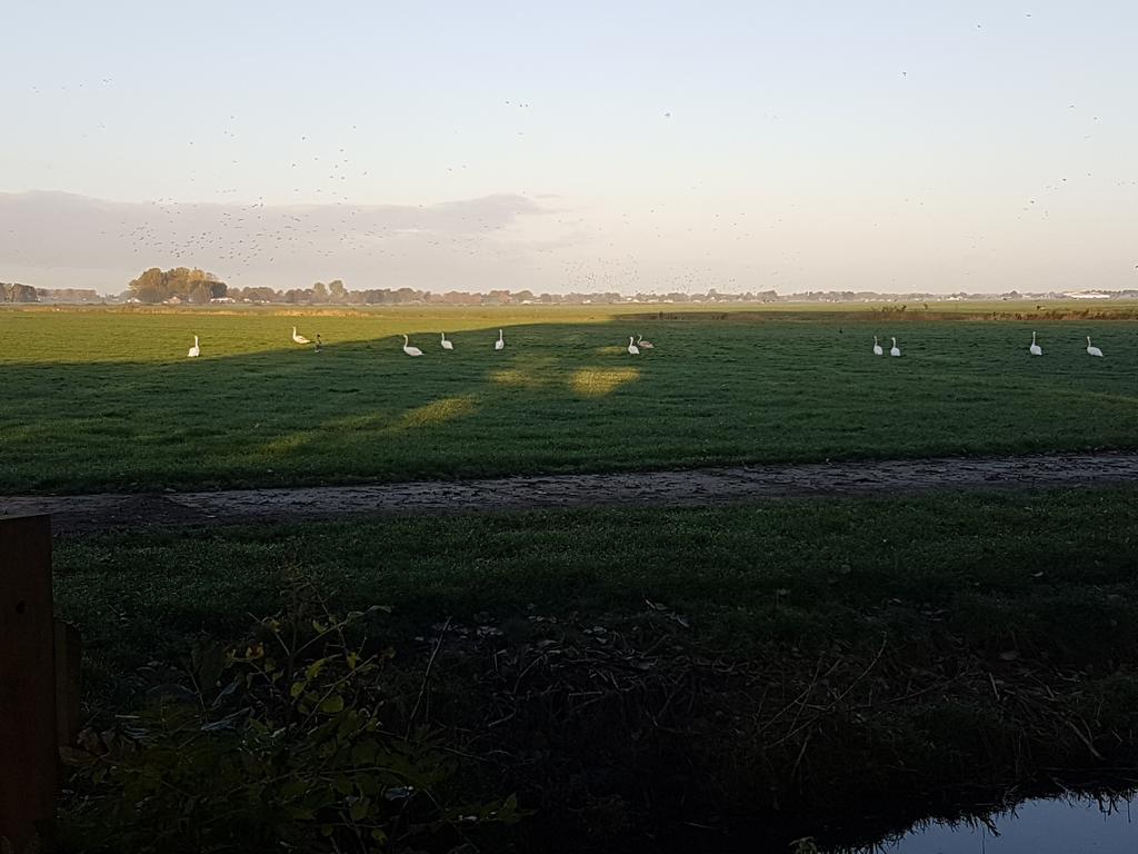 Bed & Breakfast De Koegang Zuidermeer Exterior photo